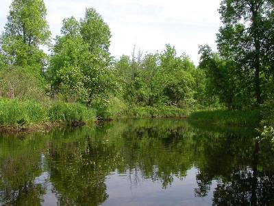 Kings Creek -- downstream view of Section Two