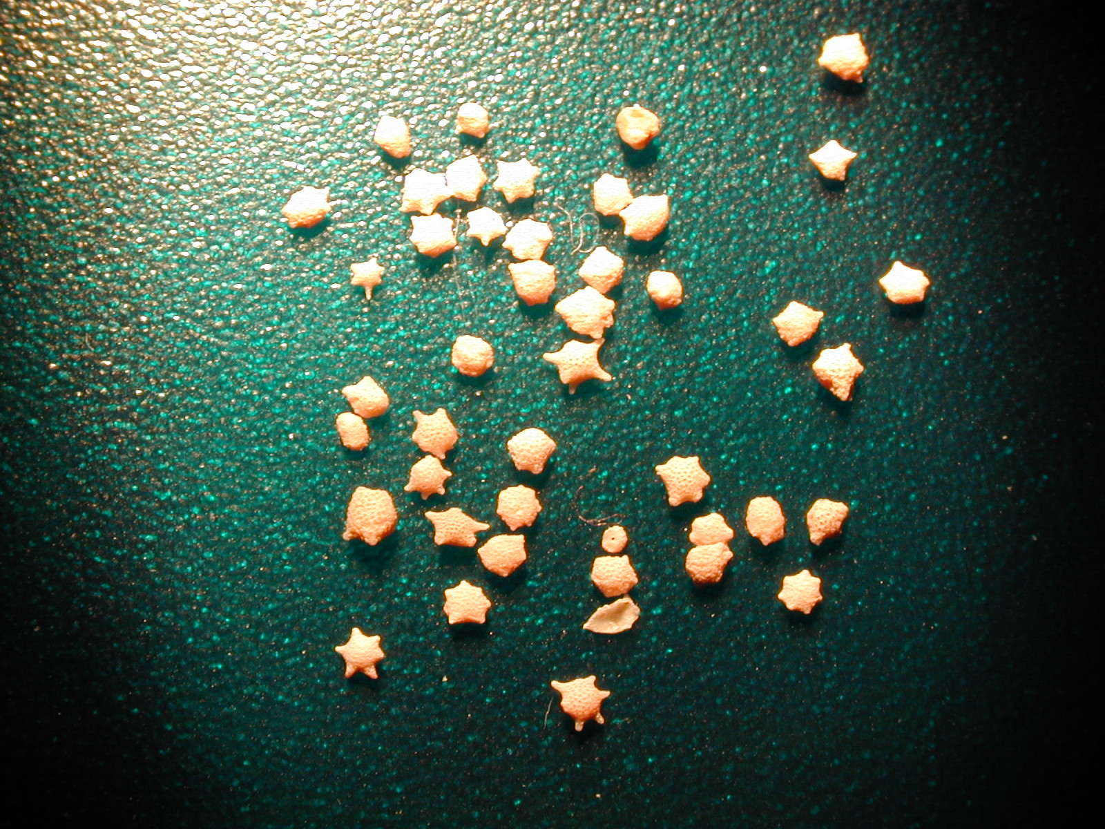DSCN2797.JPG