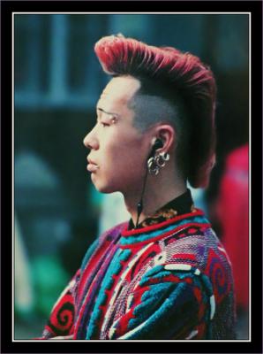 The Last of the Mohicans