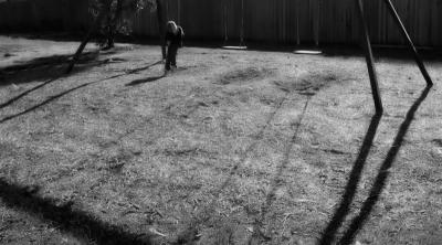 Two Empty Swings
