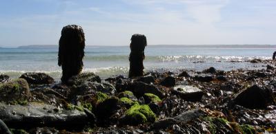 Pier Remains