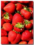 <b>Reds</b>