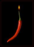 Some Like It Hot