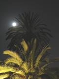 Moon Watchers