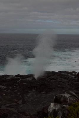 6787-espanola isl punta suarez blowhole.jpg