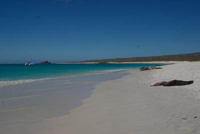 6813-espanola isl gardner bay.jpg