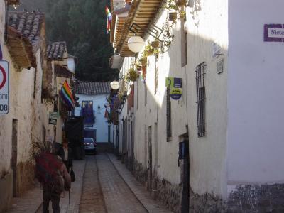 u30/curtlarson/medium/19137478.7277A4812cuzcocallenearbariosanblas.jpg