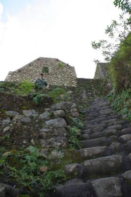 7364-steps up huayna picchu.jpg