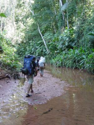 7210 A4670 jungle river hike curt.jpg