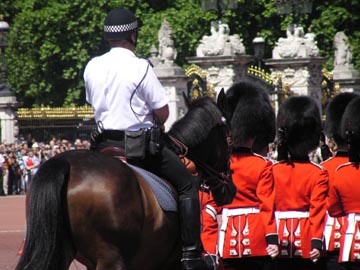 u30/cwright/upload/18673951.parade.JPG