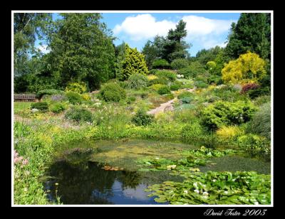 dorothy clive gardens (newcastle staffs)