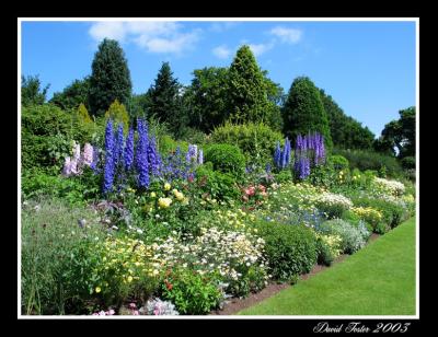 dorothy clive gardens