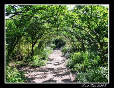 dorothy clive gardens