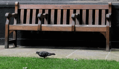 PID.gif
