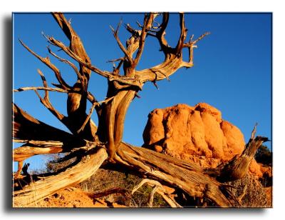 At Kodachrome Basin