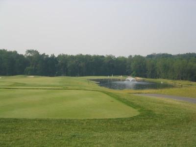 Tee 2 Green.jpg