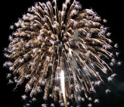 u30/deedee_g/medium/18638282.FireworksDSC01989.jpg