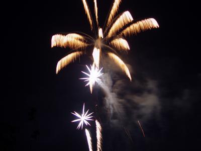 u30/deedee_g/medium/18656171.FireworksDSC01972.jpg