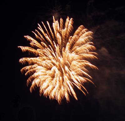 u30/deedee_g/medium/18656439.FireworksDSC01940.jpg