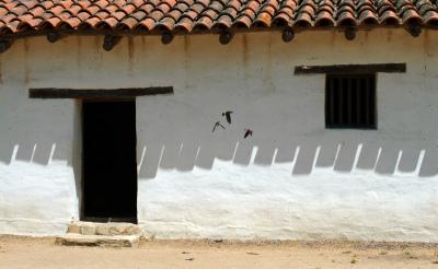 The air was full of swooping and darting swallows building nests under the eaves