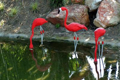 Plastic Fantastic Flamingos