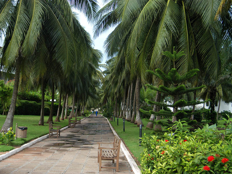 Hotel grounds in Lome 3894