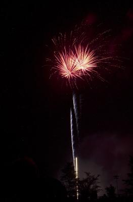 DSC_4180.jpg