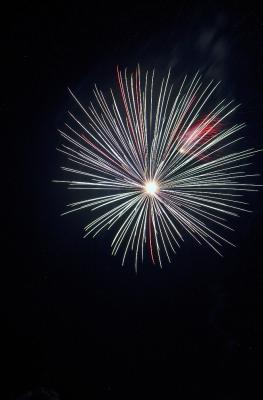 DSC_4204.jpg