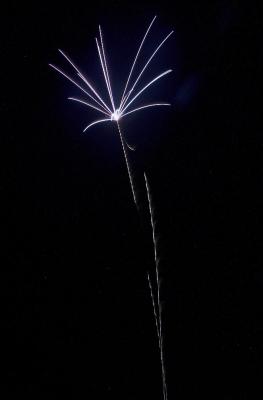 DSC_4213.jpg