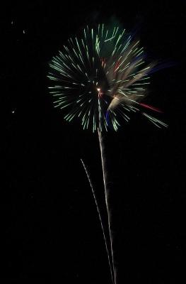 DSC_4217.jpg