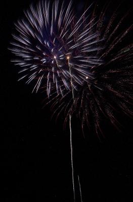 DSC_4220.jpg