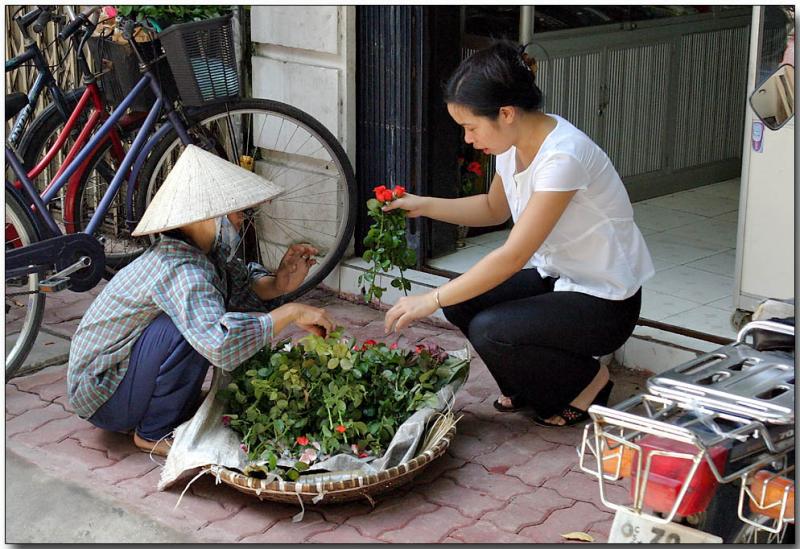 A rose for the Lady