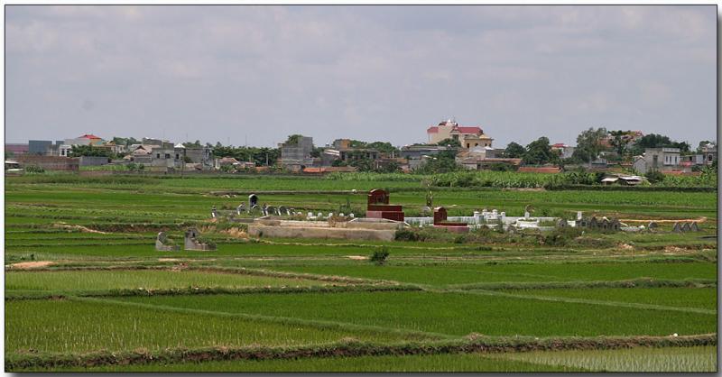 Cemetary in the rice paddies