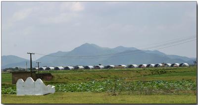 Graves overlooking old aircraft revetments