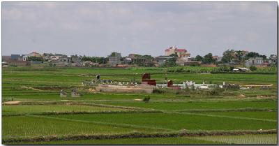 Cemetary in the rice paddies