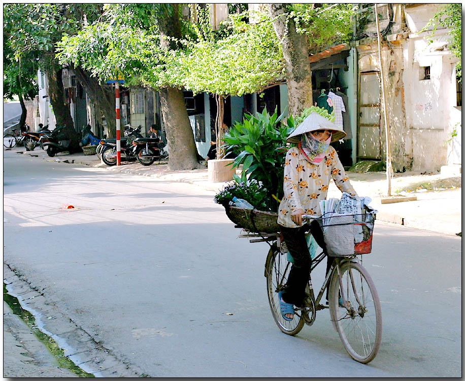 Flower & plant delivery