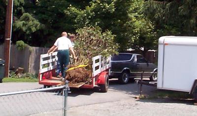 Brian takes Ron, Chris, and the shrub for a ride