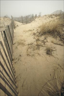 fence and dunes.jpg
