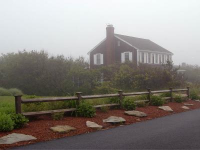 Houses in fog 4445.jpg