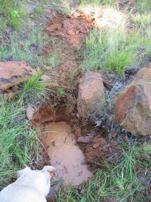 OH SHIT! Roo hit the water line halfway between AP and RR