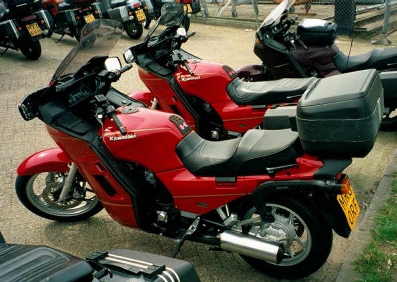 A red pair.jpg