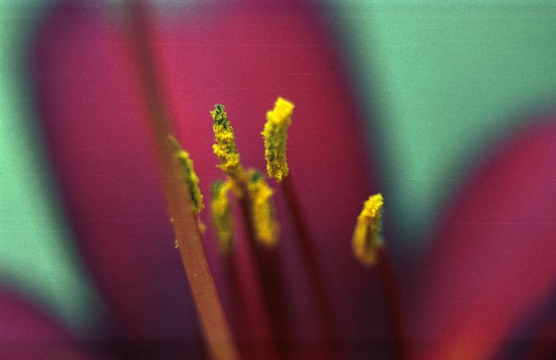 e017.09.jpg