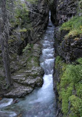 IMG_2142_sm.jpg