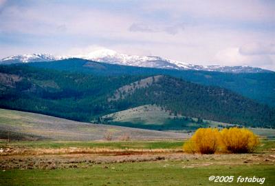 Magnificent Montana