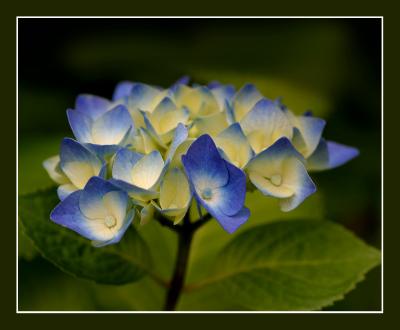 IMG_0569rou.jpg