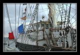 IMG_0482rou.jpg