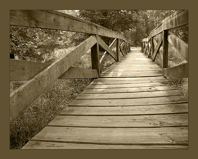 Wherever it may lead . . .