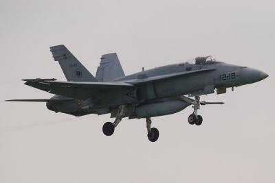 EF18 Hornet