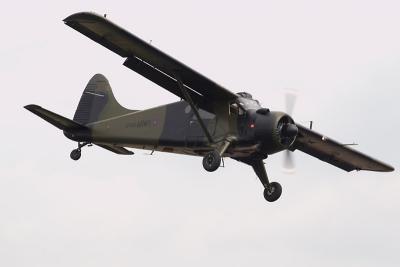 u30/gareth_horne/medium/19184846.beaver_1.jpg