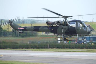 u30/gareth_horne/medium/19184859.scout1.jpg
